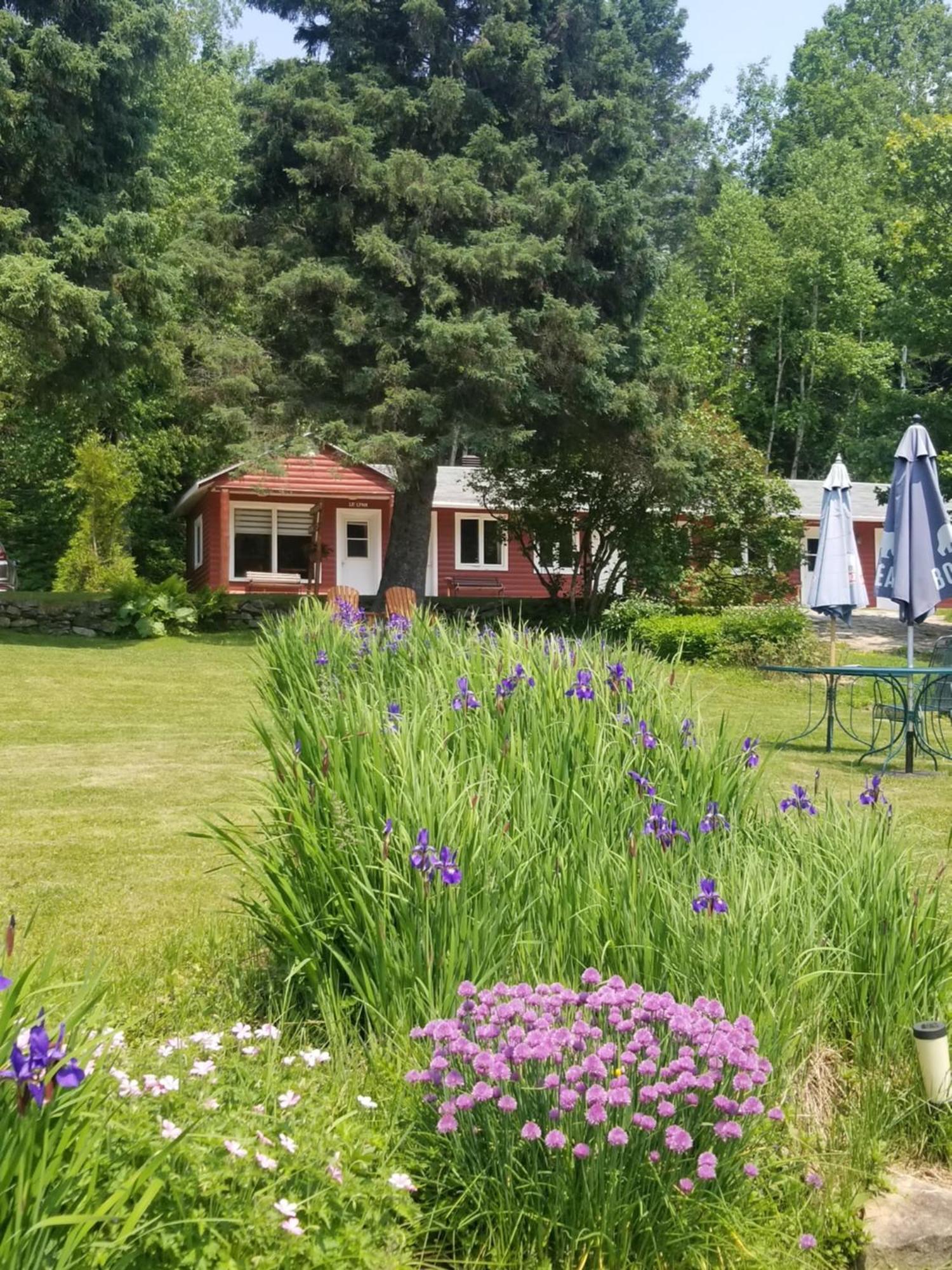 Kan-A-Mouche Pourvoirie Auberge Et Chalets Saint-Michel Δωμάτιο φωτογραφία